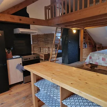 Apartment Loft Des Cimes Avec Vue Montagne - *